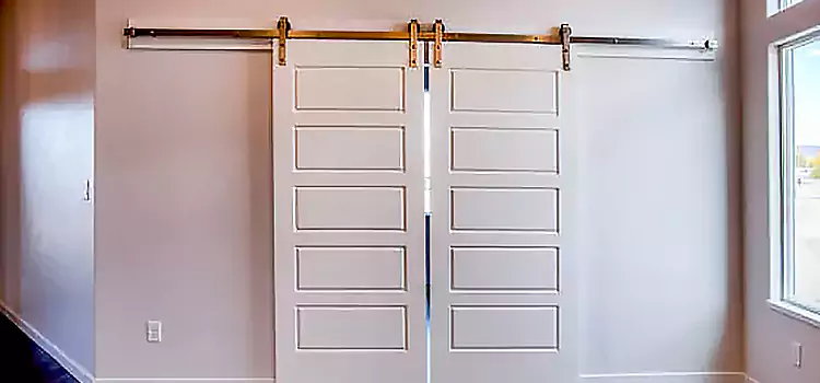 Glass Barn Door with Installation Hardware Kit Petersburg