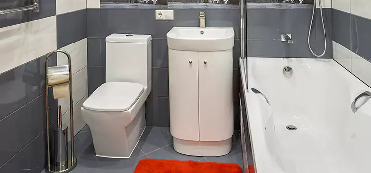 Hansgrohe Shaving Mirror Petersburg
